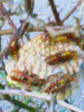 20070724185139.jpg