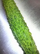 2009071719080000.jpg