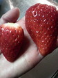 2010012721150000.jpg