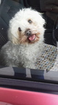 2013030110270002.jpg