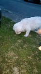 DSC_0012.jpg