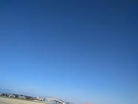 IMG_20170219_152940.jpg