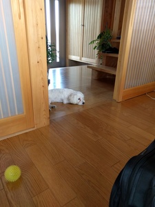 IMG_20170714_080209.jpg