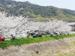 IMG_20190406_131704.jpg