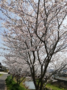 IMG_20190406_133322.jpg