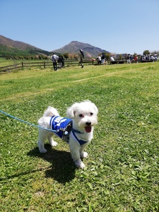IMG_20190504_105132.jpg