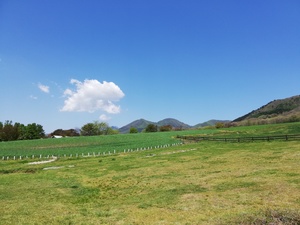 IMG_20190504_104942.jpg