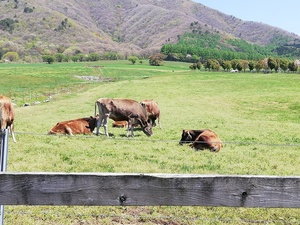 IMG_20190504_102051.jpg