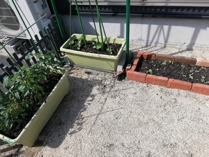 IMG_20190505_144437.jpg