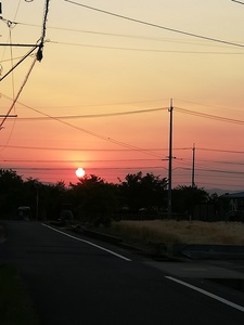 IMG_20190523_185258.jpg