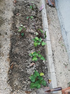 IMG_20190606_173425.jpg