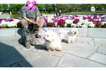 20080503082530.jpg