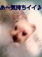 2008.jpg