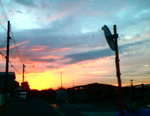 2008.jpg