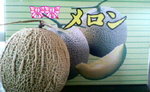 20080811071710.jpg