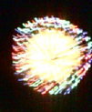 2008.jpg