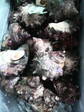 2009080512100000.jpg