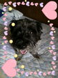 2009081808000000.jpg