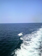 2009081414330001.jpg