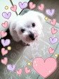 2010063005520000.jpg