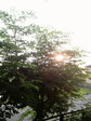 2010063005540000.jpg
