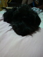 2010083022060000.jpg