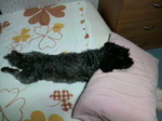 2010083022060001.jpg