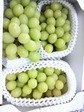 2010092116300000.jpg