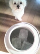 2010092207020001.jpg