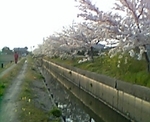 070410_172739_M.jpg