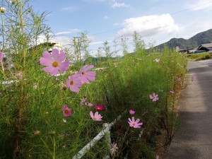 IMG_20180922_150059.jpg