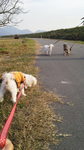 2011112715260001.jpg