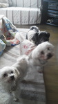 2013011308200000.jpg