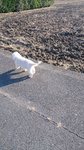 DSC_0099.jpg