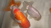DSC_0179.jpg