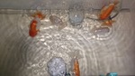 DSC_0177.jpg
