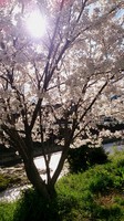 DSC_0038.jpg