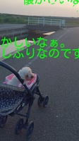 rakugaki_20140723113025513.jpg