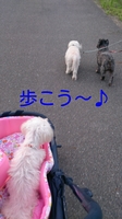 rakugaki_20140723112430920.jpg