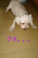 rakugaki_20140726122341890.jpg