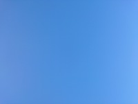 DSC_0273.jpg