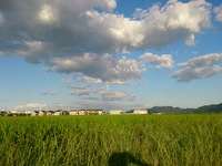 DSC_0278.jpg