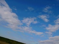 DSC_0375.jpg