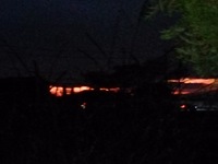 DSC_0374.jpg