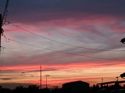 DSC_0539.jpg