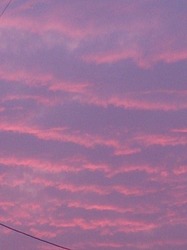 DSC_0556.jpg