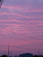 DSC_0555.jpg