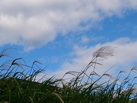 DSC_0631.jpg