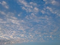 DSC_0634.jpg