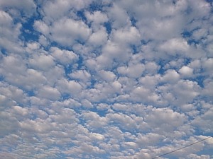 DSC_0669.jpg